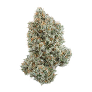Lemon Burst