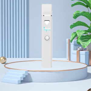Electronic Cigarette Disposable Vape